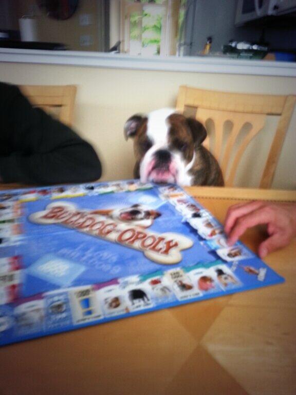 Playing Bulldog-opply with the fam. #winning