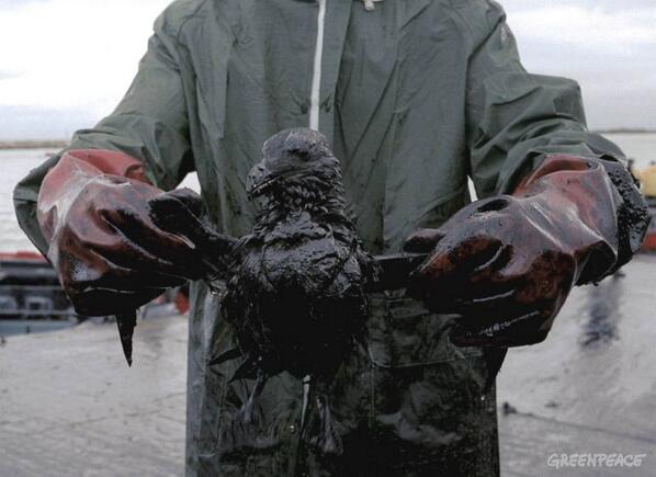 🌱🐶🥦🍅🌎♻️ 🇦🇷🎗 tweet media