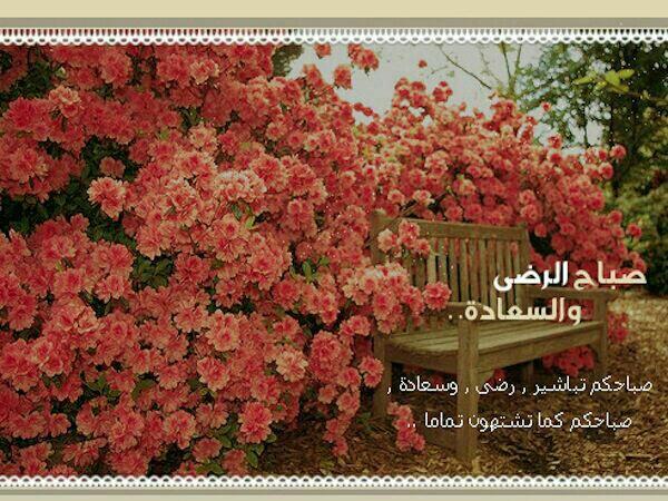 abu_saud47's tweet photo. http://t.co/FyYolgMC1q