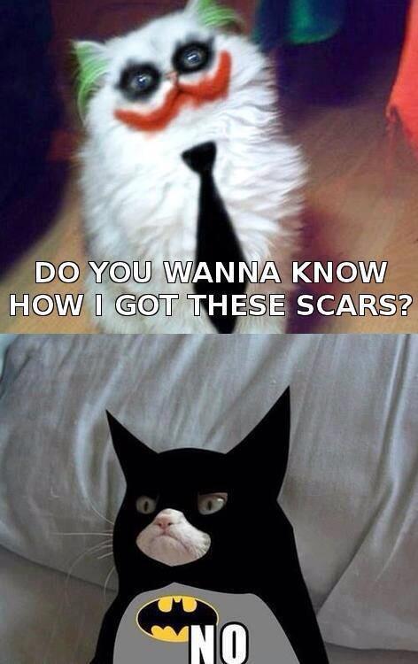 BlairRayce's tweet photo. This made me think of you! @JacksonCraig33 http://t.co/BVJpTxWpAQ