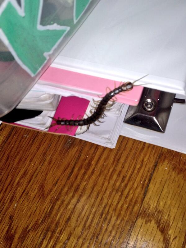 KRodge325's tweet image. Oh okay I'll start planning my funeral #paralyzedwithfear #itscoming #bedroom