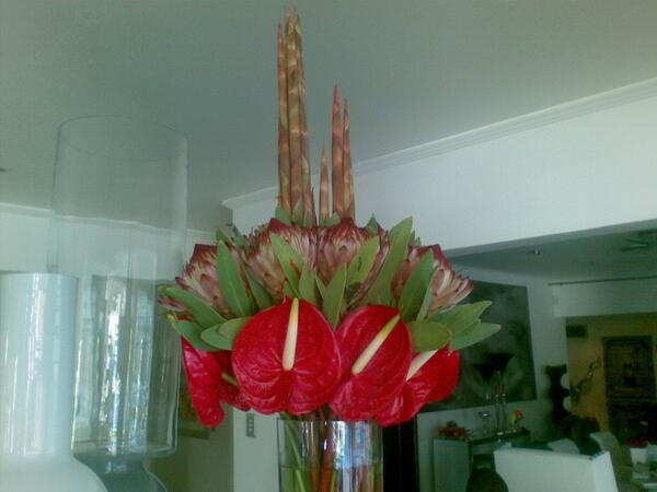 Atomicorchid Home Facebook From Left To Right Wooden Protea Photographed By Lindy Truter Brunia Bouquet Atomic Orchid Andrea Carlyle And Rose