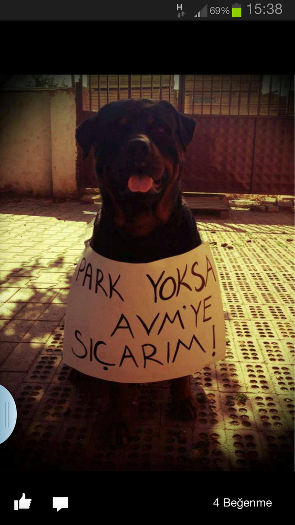 Park yoksa AVM'ye s.car o da;) <a href="/DirenGeziParki/">Diren Gezi Parkı</a>  <a href="/gulse_birsel/">Gülse Birsel Karaca</a>  #direngeziparkı #occupygezi <a href="/okanbayulgen/">okan bayulgen</a> <a href="/ETemelkuran/">Ece Temelkuran</a>
