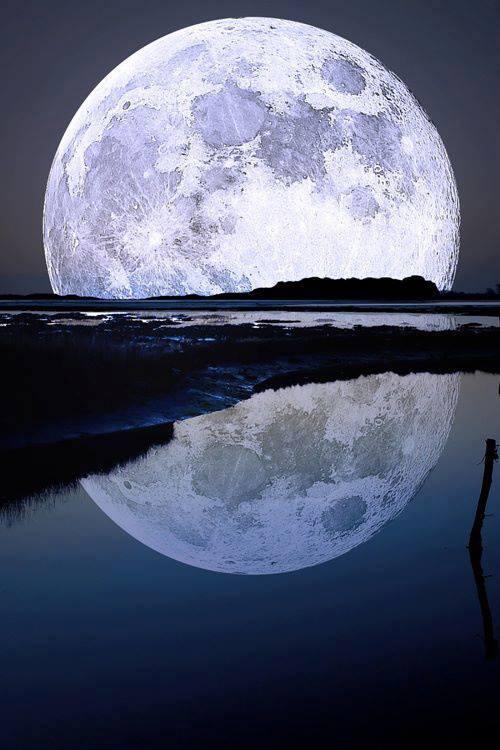 cometaa tweet picture
