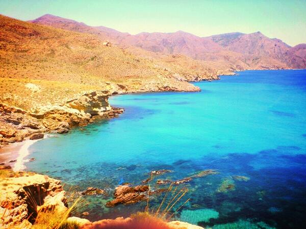 LORENA TIRADOS tweet media