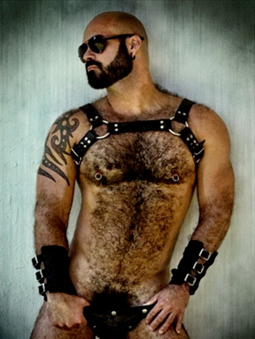 speermaa's tweet photo. ARRIBA esos pelos, tatuajes y musculos ...!!! http://t.co/OJwmXL7uoF