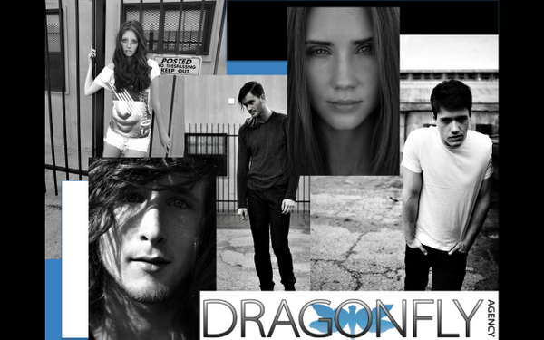 DragonflyDallas's tweet photo. Here are a few of our favorite shots captured by the amazing Steve Visneau! http://t.co/G1AsLrYwtX