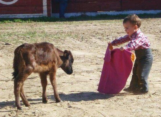 mariaaglezb's tweet image. Que alguien me niegue que esto no es precioso #Nene #MiniToro http://t.co/sJZhc4J23B"