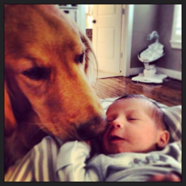 rikehler's tweet image. And they call it #puppylove