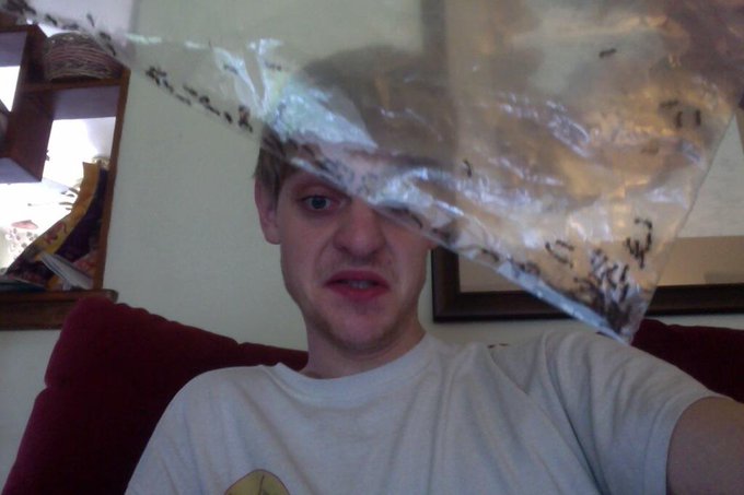 just got this bag of ants. http://t.co/BIz5MuD8EC<a href="/tag/pappa"class="tags"><span>#pappa</span></a>