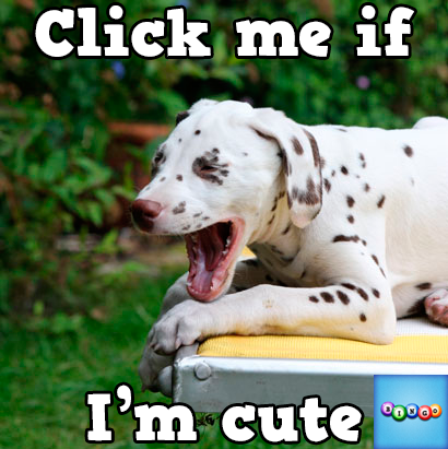 StallionDiva's tweet photo. Play Bingo with Friends! #ilovebingo #BingoRun http://t.co/0v5pObazK5 http://t.co/Xi1qbkM7k5