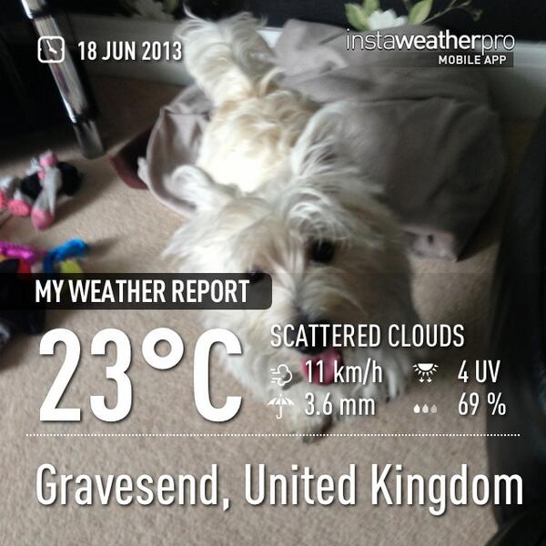 FrancescaM_87's tweet image. It&apos;s so hot!!! But where&apos;s the sun! #baking #tongueOut #boogles