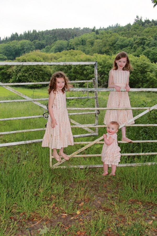 TimSmithPhotography tweet media