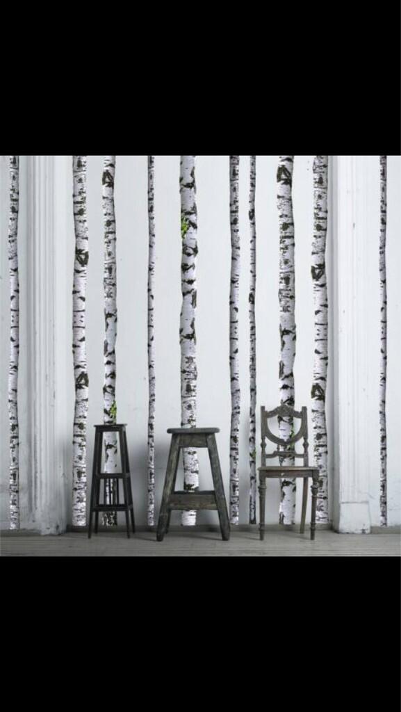 ELLEizabeth's tweet photo. Ohhhh... Pretty! @WallsNeedLove 
Birch trees wall decal. 
#walldecals #wallart #ASID http://t.co/k5M88ySFJb