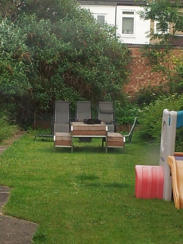 Amy Plumer tweet media