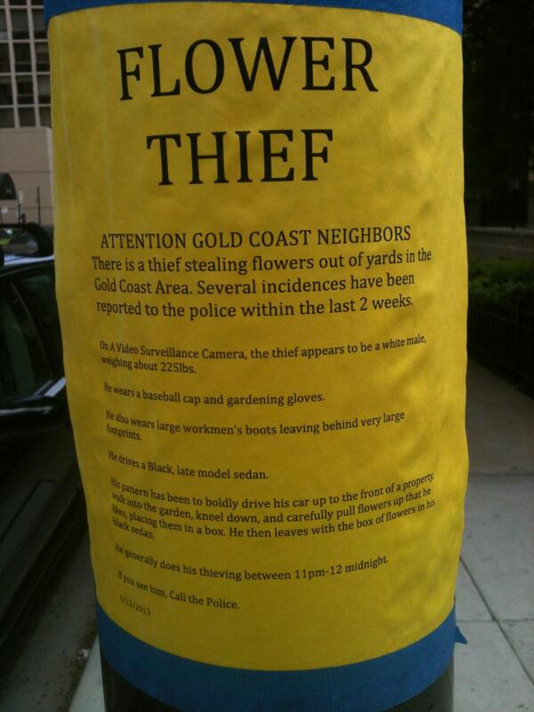 foots86's tweet photo. This city crime spree is hurting everyone... #goldcoastproblems http://t.co/aaUxvtJdXY