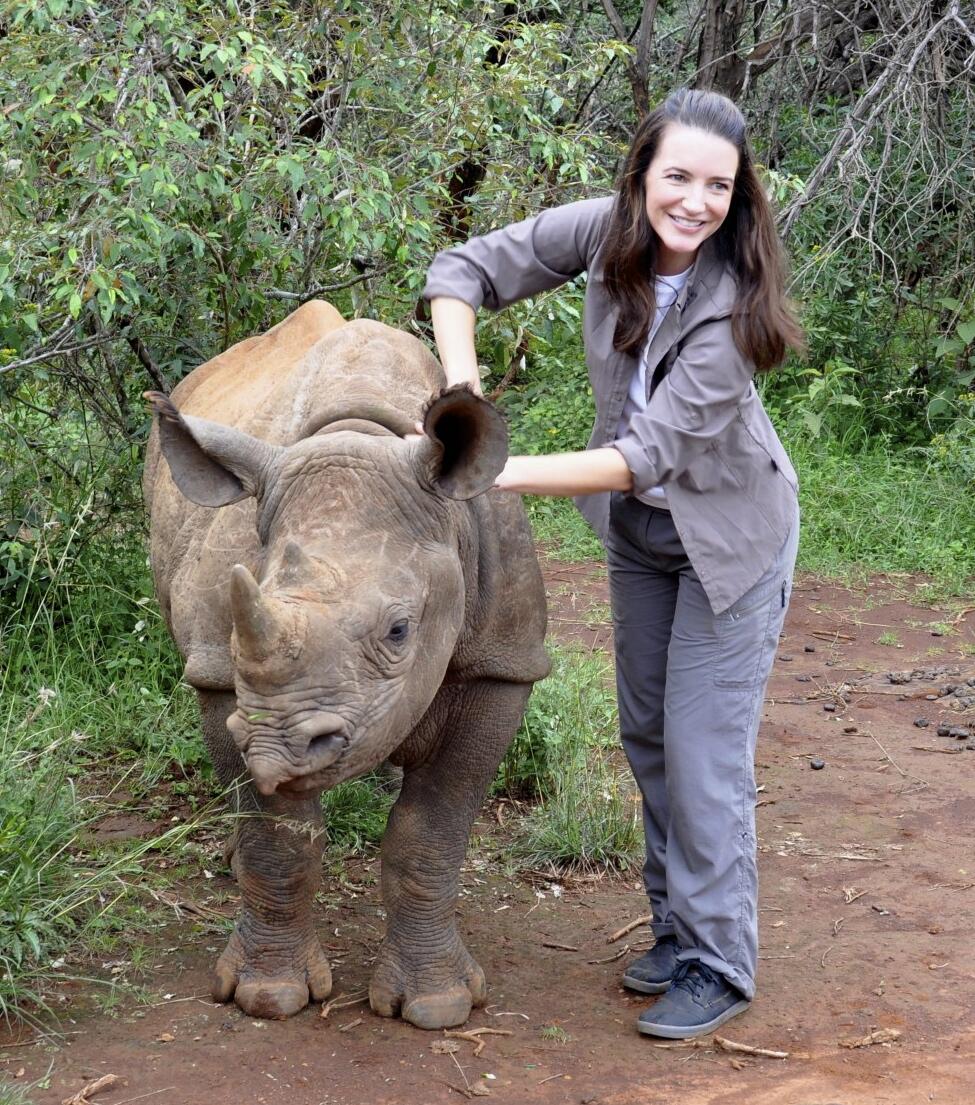 Kristin Davis on Twitter "I like rhinos too! FavoriteAnimal This is