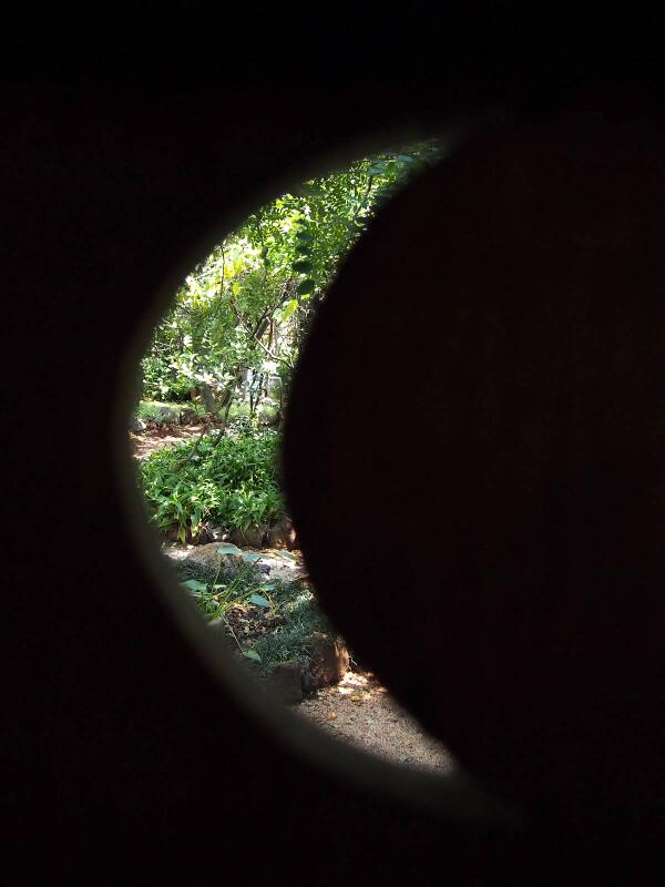 Sarar Transformación tweet media