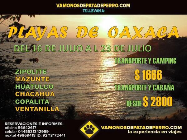 vamonosdepatade's tweet photo. @DF_CompraVenta RT !!OFERTA DE ANIVERSARIO  #Viaje a las playas de #Oaxaca de 16 al 23 Julio desde $1666
Tel 56642617 http://t.co/Eau67LS037
