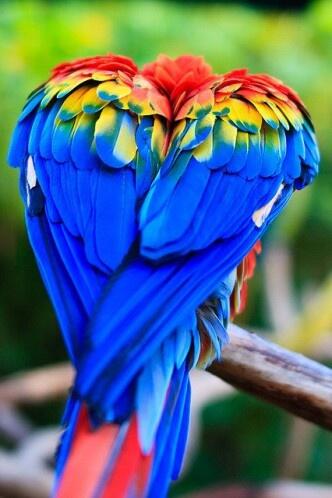 LJJarms's tweet photo. “@cjlinnecar: @LJJarms http://t.co/Z6X2WvAoUO” heart love!