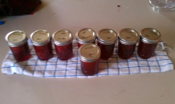 MyRaisedBedGard's tweet photo. Making Homemade Strawberry Preserves - http://t.co/uO3QvJZxaa http://t.co/JAtxMh9DwQ