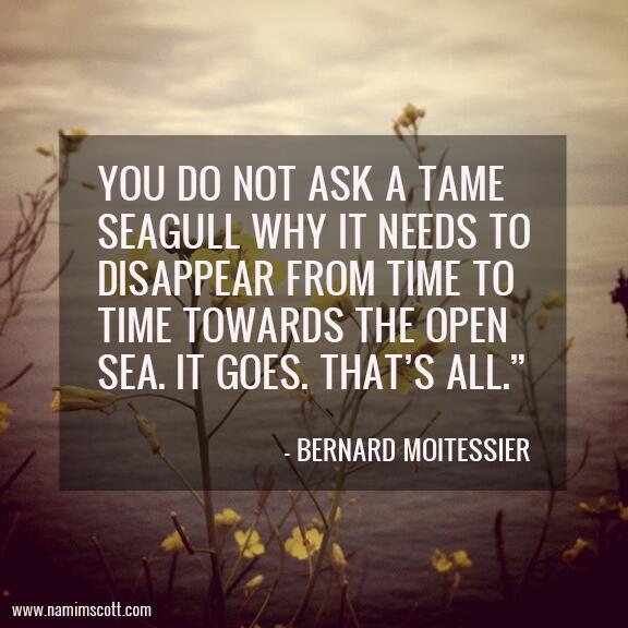 Let's run away together to the sea. Read more here: bit.ly/11mz9Af #QOTW #Quotes #BernardMoitessier