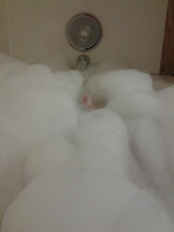 _may4321's tweet photo. @danielle_hurley @maymea5678  nothing like a bubble bath http://t.co/M9iivFy7Ti