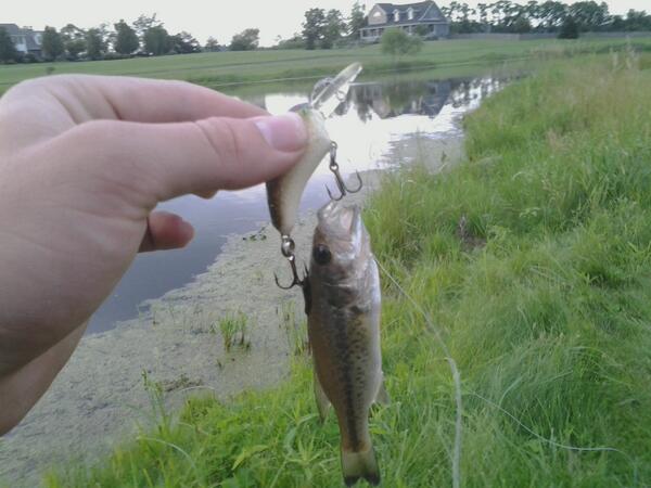 blankenship08's tweet photo. Ambitious little guy http://t.co/yIibp9aFed