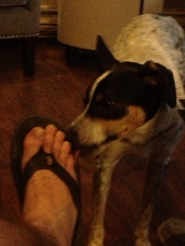 ManwaJDKC's tweet photo. @965TheBuzz @afentra @dannyboi965  get that jam #sneakyflipflops http://t.co/MKkxVuTneO