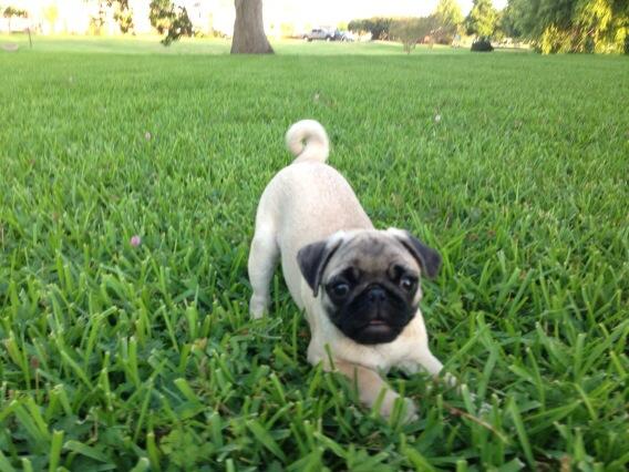 JHRiley's tweet photo. I always want to play... http://t.co/L9hDQxEGpY