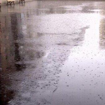 O Ağaçlar varken biz yoktuk
Biz varken Onlar yok oldu
Şimdi ne Biz varız ne de Onlar
Yağmur boşa yağıyor