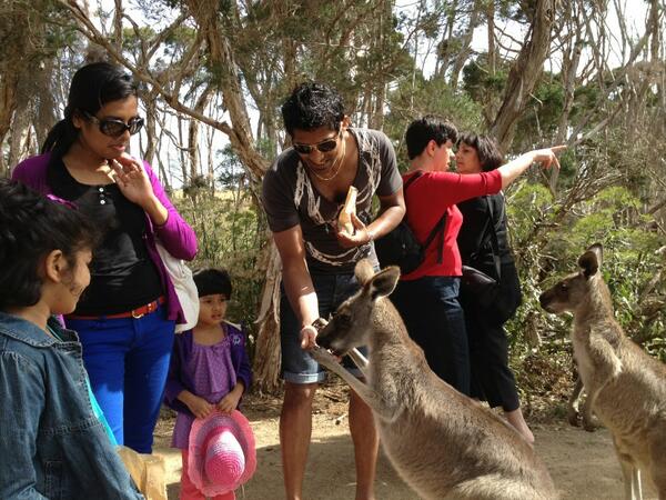 CWelagedara's tweet photo. Safari trip in austreliya with my family http://t.co/VSp5rYK8Oo