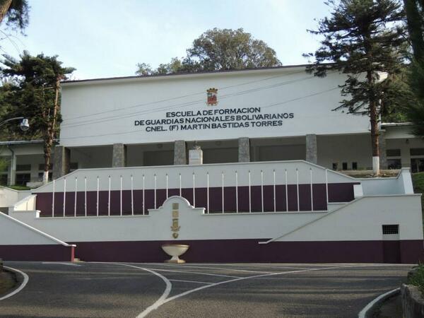 Esguarnac's tweet photo. @Esguarnac Ramo verde http://t.co/pHoh2K23Oo