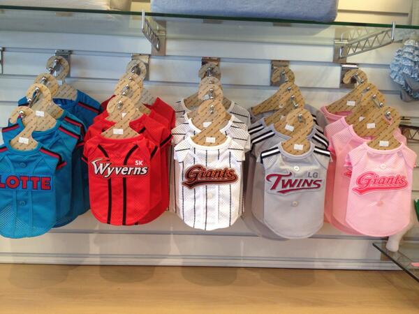 DOGFAFA's tweet image. 치료멍멍에 개니폼이 왔어요~~~가격도 착해요~~