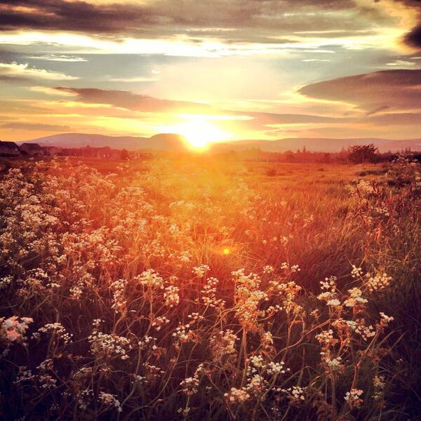 everlongart21's tweet image. Last nights sunset 9.40pm Alford Aberdeenshire #bbcmidsummer #bbcmidsummerlive