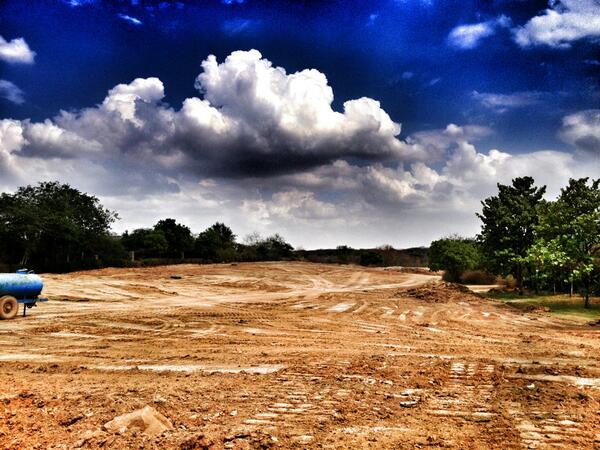 David B Mathews tweet media