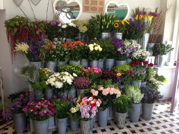 Lovely full stand of fresh cut flower !