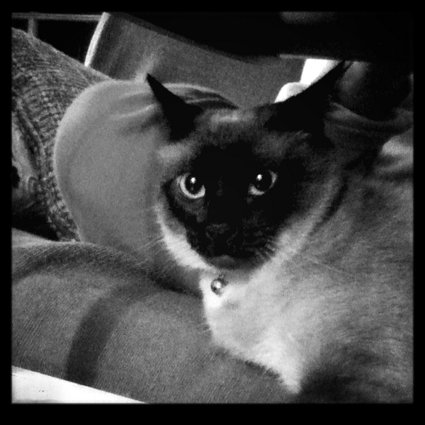 Peter_Gomez's tweet photo. Just posted a photo (via @camera_fx) http://t.co/1PTT6I0l7R