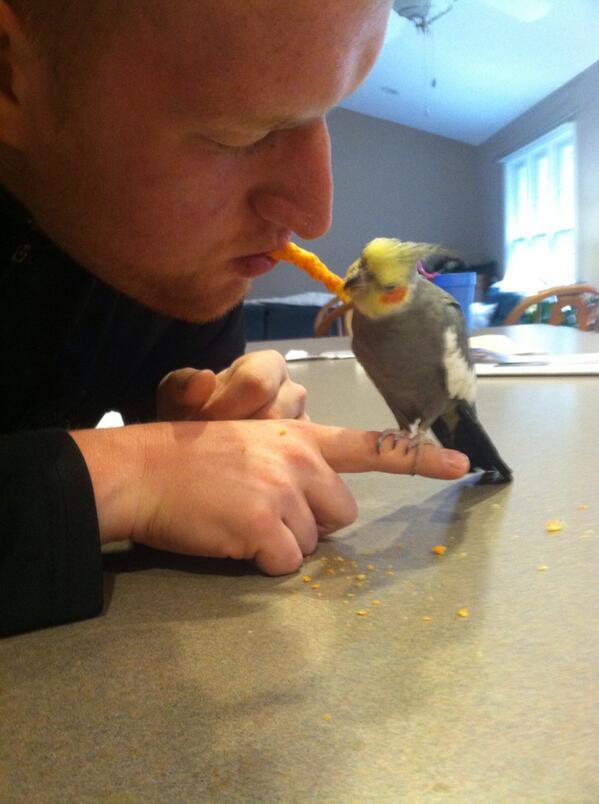 KaylaTerbecki's tweet image. @RealDerekGlauch @KyeKusibab Kye, soon this will be you and Buddy =). #InseparableBond