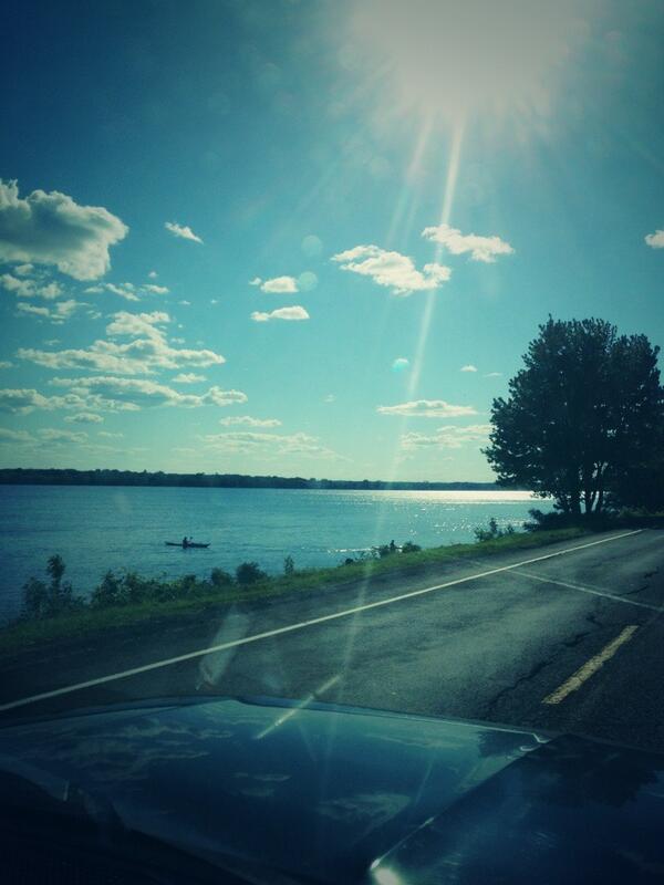 Beauty day in Freddy! @KKKarrot