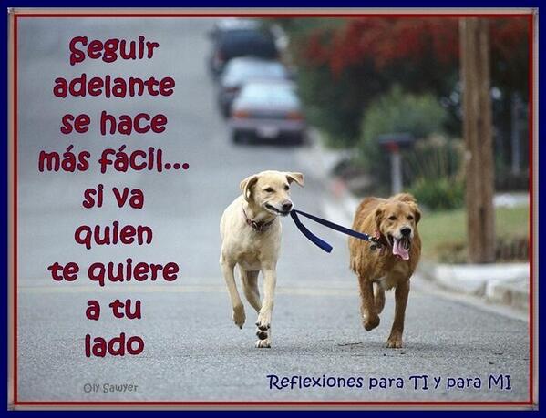 gelymor's tweet photo. @mariditommaso @Ileanaledesma @JesusSusej6732 @AgCharys64 @Psic_L Buena tarde querido combo. http://t.co/bKKwCiT7Fi