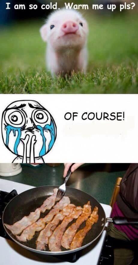 Hugo_knows's tweet image. Yum