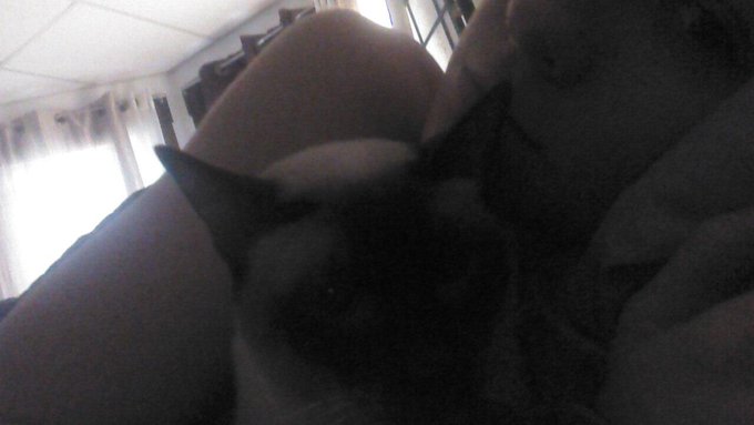 Lazy day with my kitty. Doing work from my phone #win http://t.co/ACJAlTacQm<a href="/tag/win"class="tags"><span>#win</span></a>