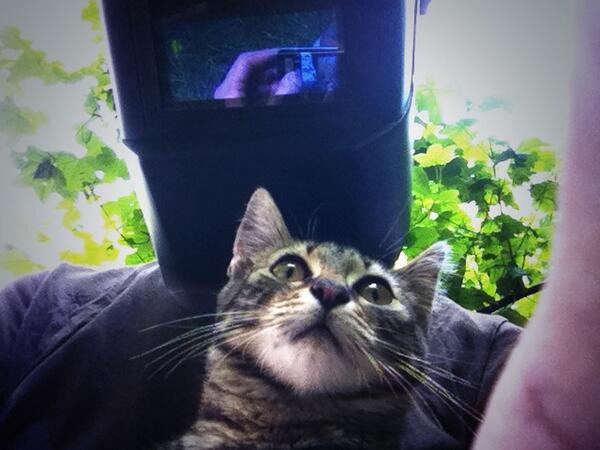 Risserphilippe's tweet photo. Aujourd'hui, c'est gueule de bois. http://t.co/cT6thSm0xU