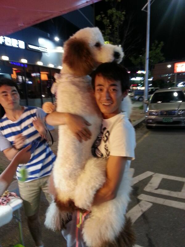 한민관 tweet media