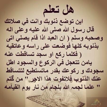 alzalamiu's tweet photo. هل تعلم 

أين توضع ذنوبك وأنت في صلاتك 

.
رتويت ليعلم الجميع 
.
🌹

.

. http://t.co/bSn7m9uWCv"