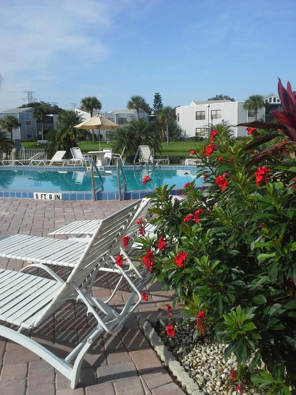 Pamela Joan Myers tweet media