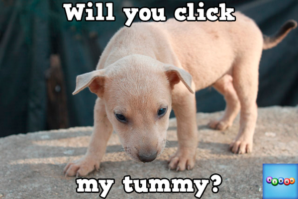 staion2's tweet photo. Play Bingo with Friends! #ilovebingo #BingoRun http://t.co/tMo8FD0KL8 http://t.co/VzBiKGW7Ul