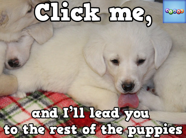 staion2's tweet photo. Play Bingo with Friends! #ilovebingo #BingoRun http://t.co/SzYBUk78Gw http://t.co/MfJrlZrtff