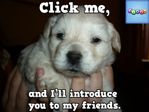 staion2's tweet photo. Play Bingo with Friends! #ilovebingo #BingoRun http://t.co/2TwNjdkbBj http://t.co/V7IECuq7tT
